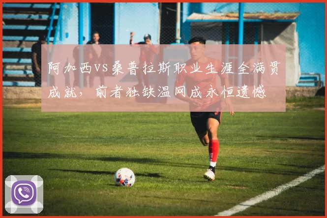 阿加西vs桑普拉斯职业生涯全满贯成就,前者独缺温网成永恒遗憾