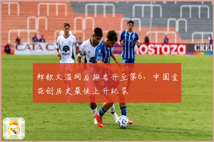 郑钦文温网后排名升至第6，中国金花创历史最快上升纪录