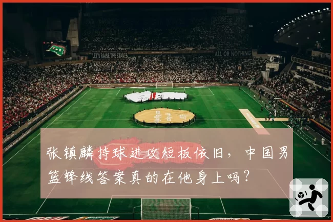 张镇麟持球进攻短板依旧，中国男篮锋线答案真的在他身上吗？